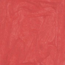 LS 205