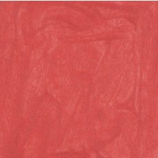 LS 205