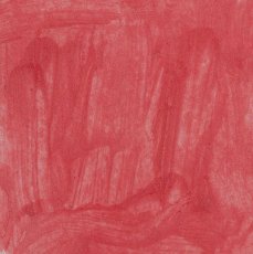 LS 206