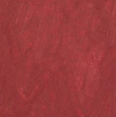 LS 505