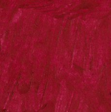 LS 508