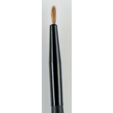 B56