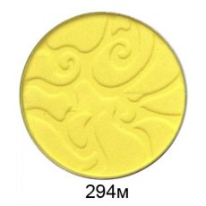 300294